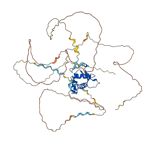 FOXG1 3D structure