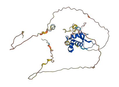 FOXA3 3D structure