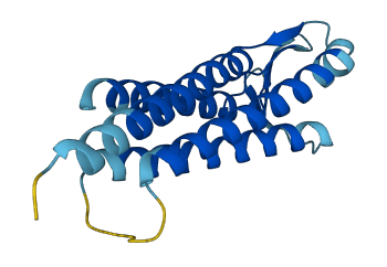 LIM2 3D structure