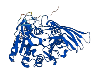PRMT2 3D structure