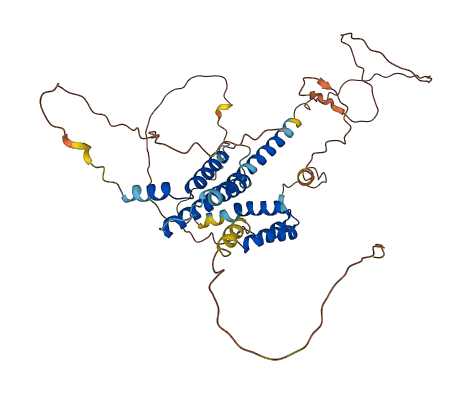 PKNOX1 3D structure