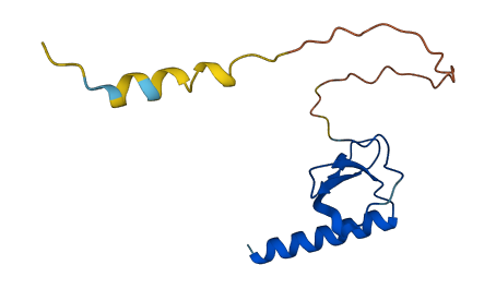 CCL23 3D structure