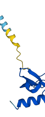CCL18 3D structure