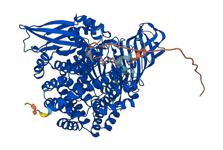 NPEPPS 3D structure