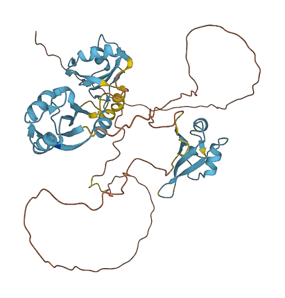 HNRNPH2 3D structure