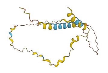XG 3D structure