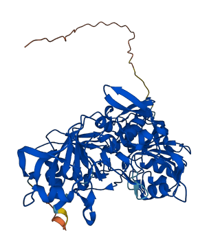 OXCT1 3D structure