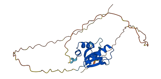 SH3BGR 3D structure