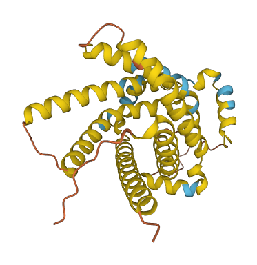 UCP2 3D structure