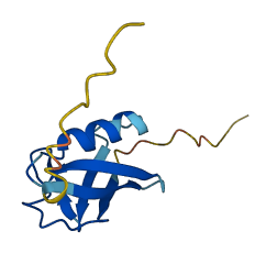SUMO3 3D structure