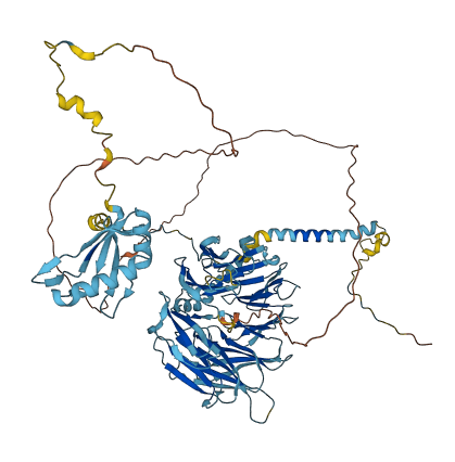 EIF3B 3D structure