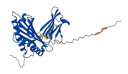 FCGRT 3D structure