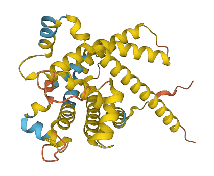UCP3 3D structure