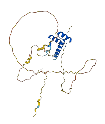 DLX1 3D structure