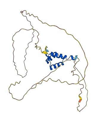 DLX5 3D structure