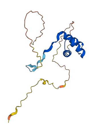 DLX6 3D structure