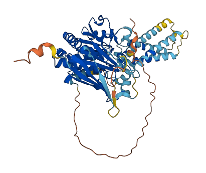 TPTE 3D structure