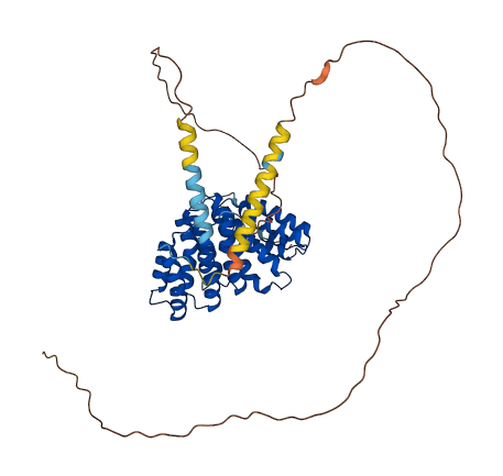 RRP1 3D structure