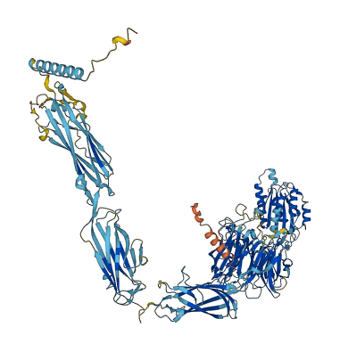ITGA1 3D structure