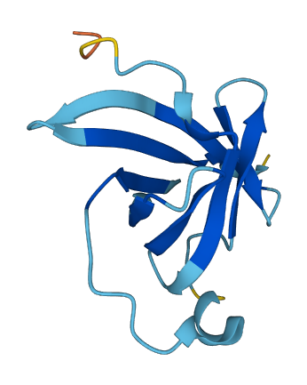 MTCP1 3D structure