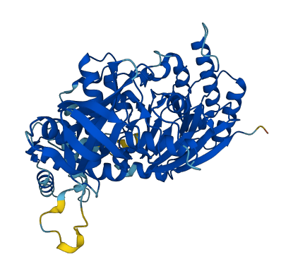 POLE2 3D structure