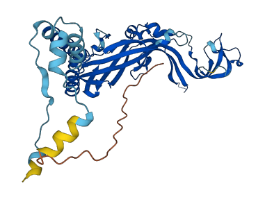 P2RX3 3D structure