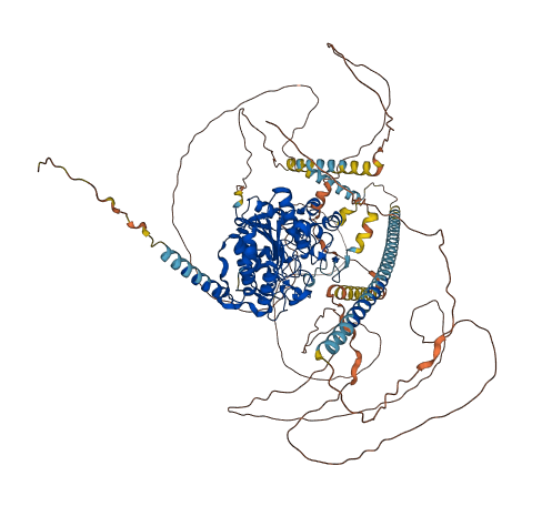 HDAC4 3D structure
