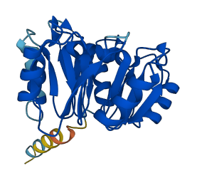 EIF6 3D structure