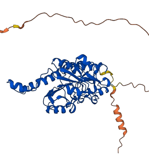 CTBP2 3D structure