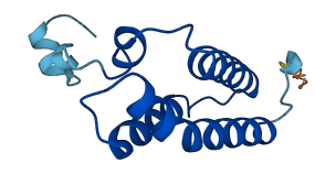 NDUFA6 3D structure