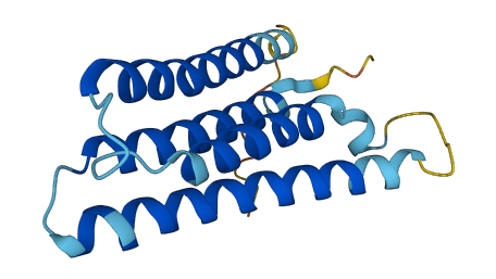 TMEM50B 3D structure