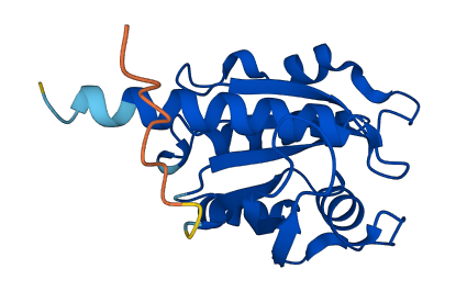 ARL4C 3D structure