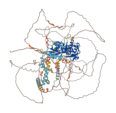 PER3 3D structure