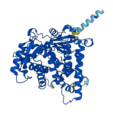 Cyp2c37 3D structure