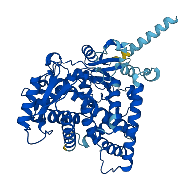 Cyp2c38 3D structure