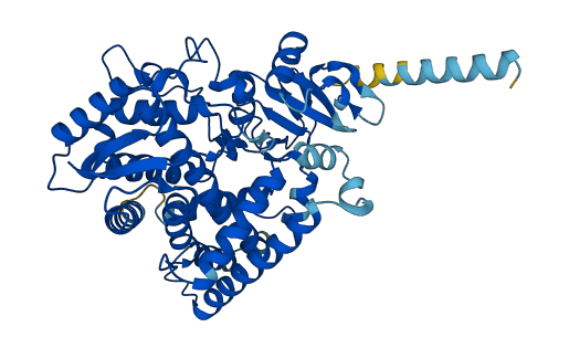 Cyp2c39 3D structure