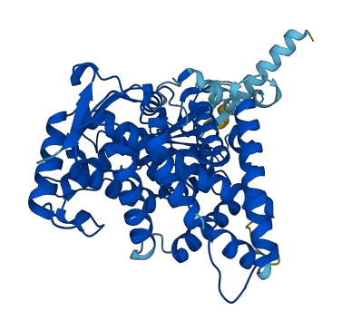 Cyp2c40 3D structure