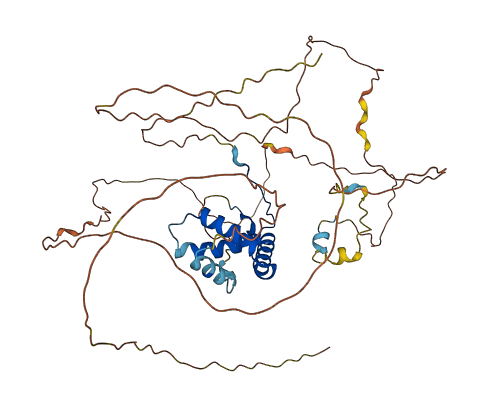 SOX10 3D structure