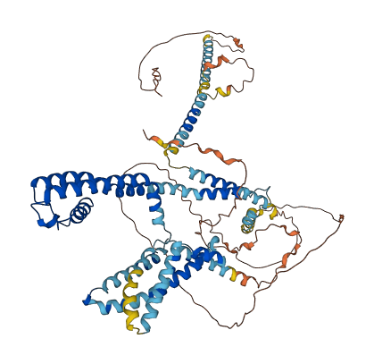 KCNQ4 3D structure