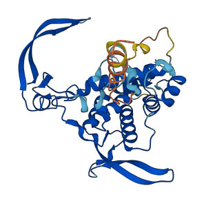 WNT3 3D structure
