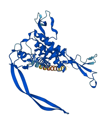WNT7B 3D structure