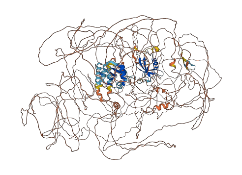 RP1 3D structure