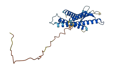CLDN15 3D structure