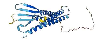 CLDN6 3D structure