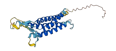 CLDN8 3D structure