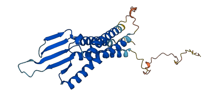 CLDN12 3D structure