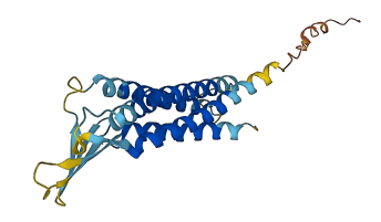 CLDN17 3D structure