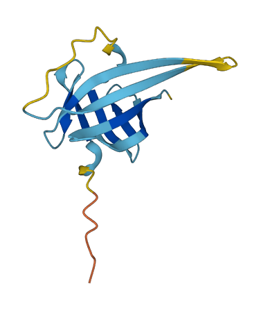 Tcl1b1 3D structure