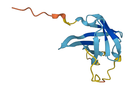 Tcl1b2 3D structure