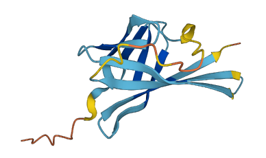 Tcl1b3 3D structure